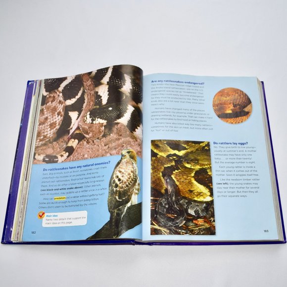 Treasures: A Reading/Language Arts Program Hardcover ISBN 978-0-02-198814-3 - Picture 3 of 13